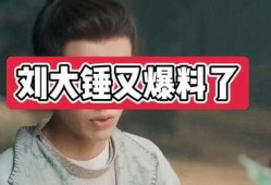 刘大锤最新爆料封面图片,封面图片背后的惊人真相