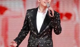 歌手平安最新爆料是谁呀,揭秘神秘人物身份引粉丝热议