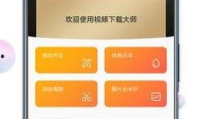 大师最新爆料视频大全下载,视频大全下载背后的秘密与趋势