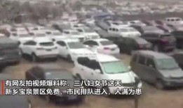 河南车友爆料视频最新消息,揭秘河南交通现状及整治措施