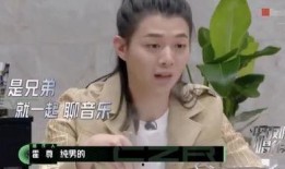 歌手平安最新爆料是谁呀,揭秘神秘人物身份引粉丝热议