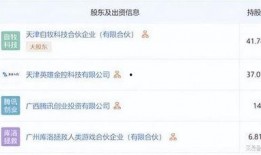 鸣潮最新消息爆料,揭秘最新爆料背后的秘密与期待