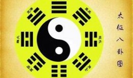 三斤八卦最新爆料,娱乐圈最新重磅爆料大起底！